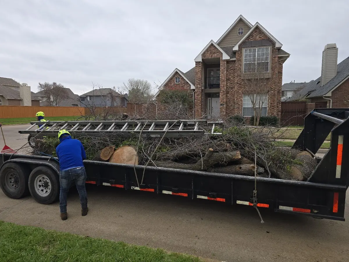 Expert Tree Pest Control with proper safety equipment in Buffalo
